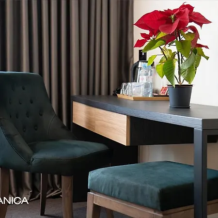 Botanica Белград